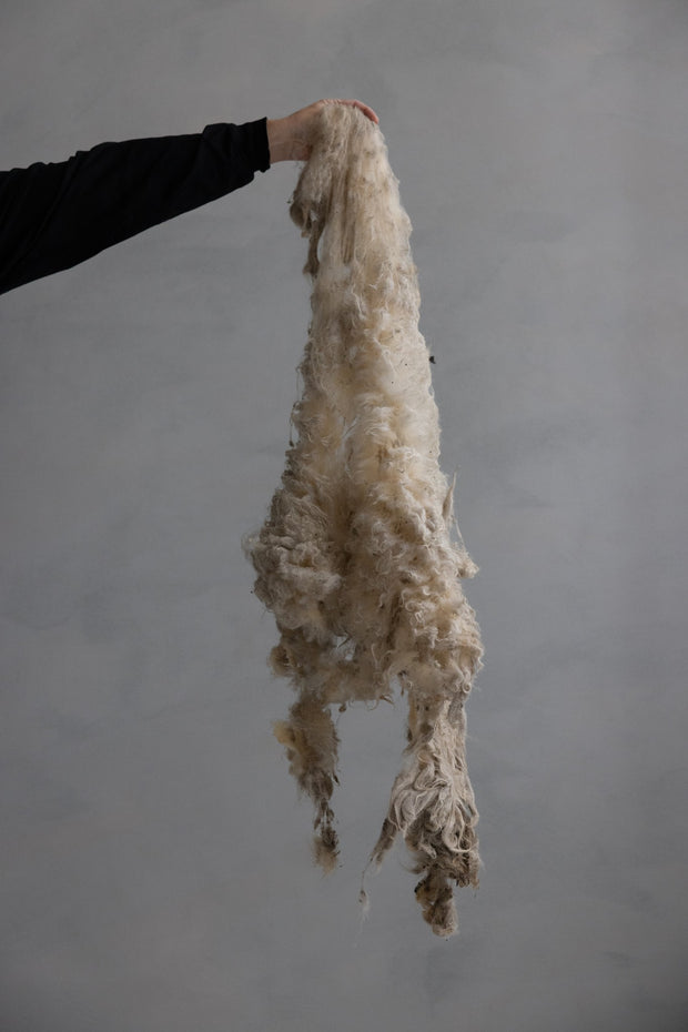 Dutch Wool
