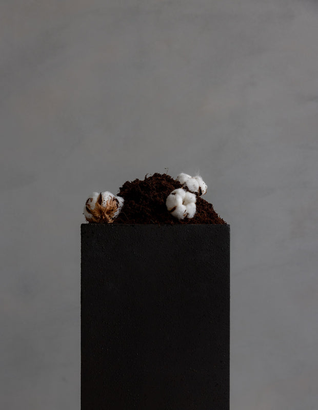 Regenerative Organic Cotton